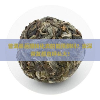 普洱后期的转化是可以预判的吗