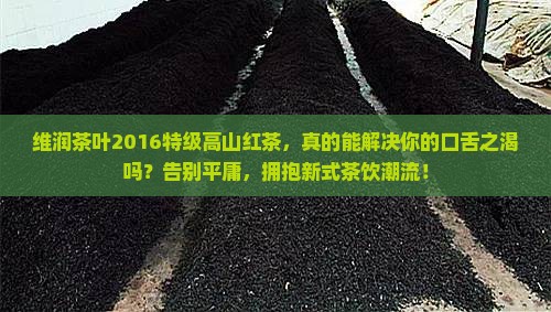 维润茶叶2016特级高山红茶