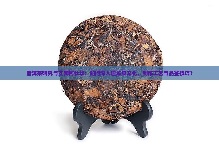 普洱茶研究与实践何仕华