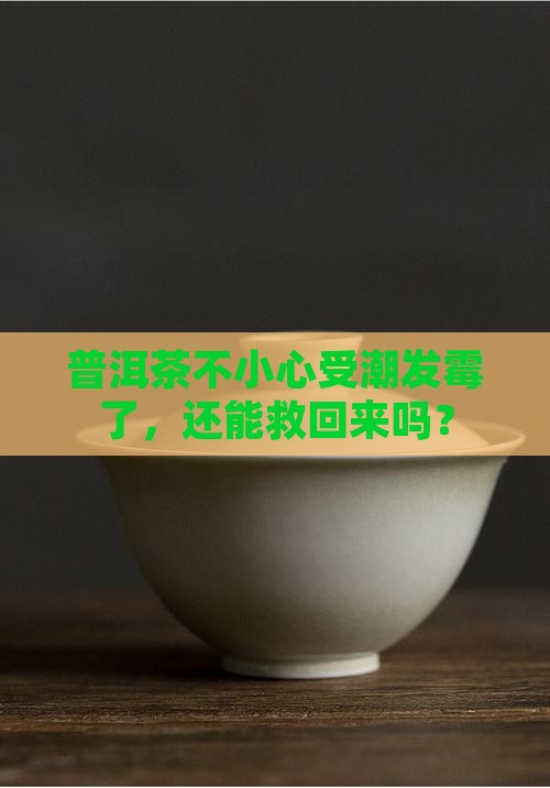 普洱茶进水发霉了怎么办