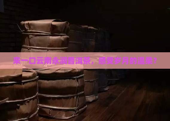 云南永润普洱茶