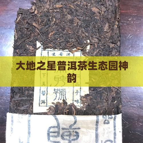 大地之星普洱茶