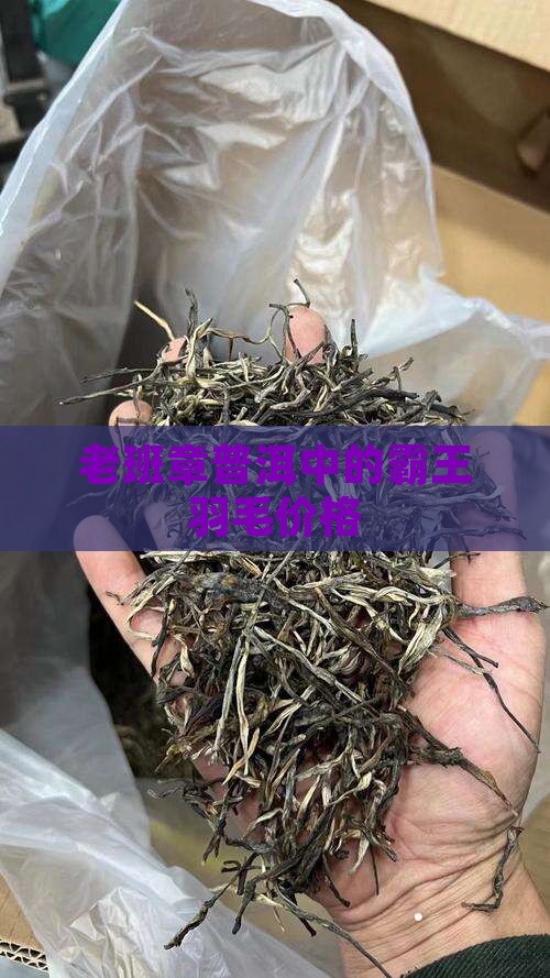 老班章的鸡毛茶叶