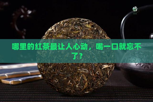 红茶买什么地方产的好