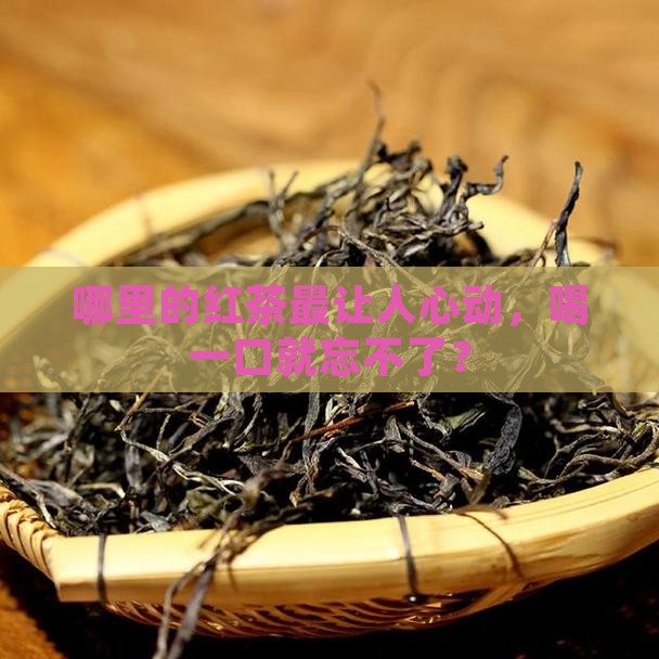 红茶买什么地方产的好