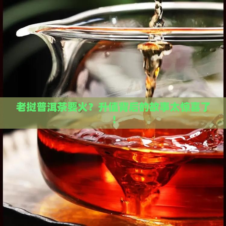 老挝普洱茶升值