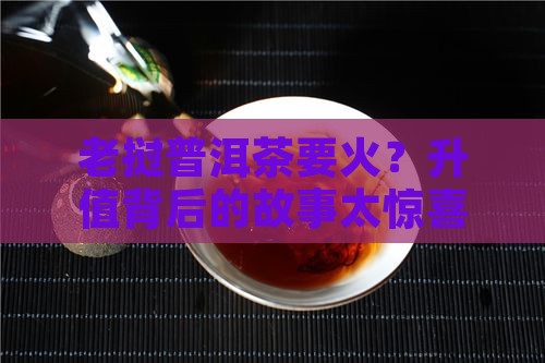 老挝普洱茶升值