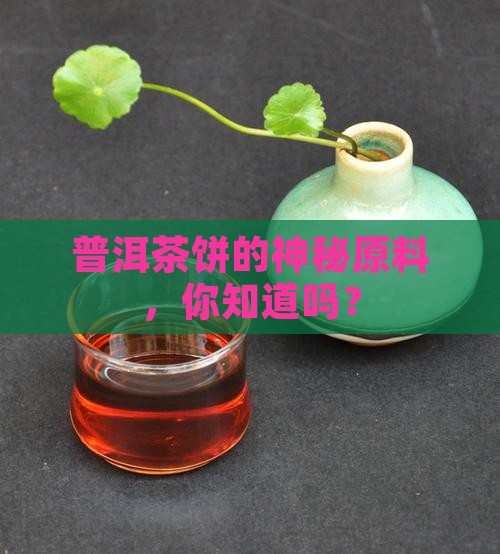 普洱茶饼原材料