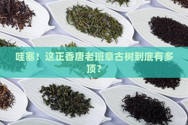 正香唐老班章古树