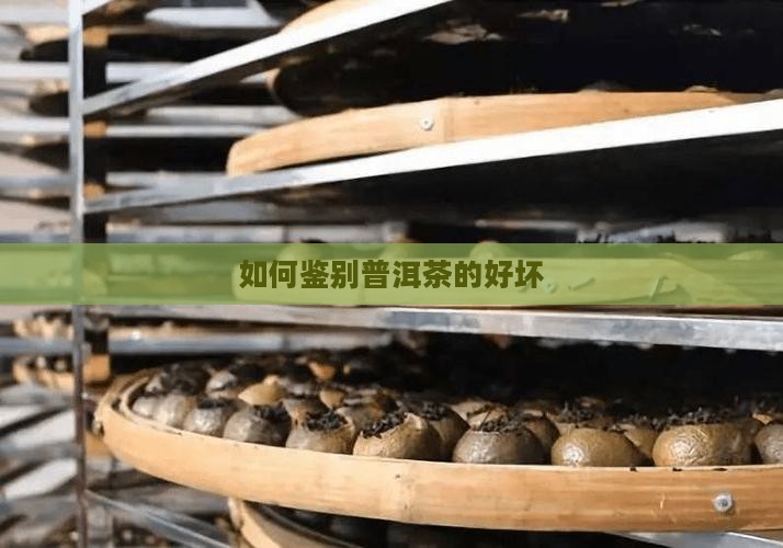 怎么辨别是不是普洱茶的好坏