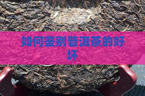 怎么辨别是不是普洱茶的好坏