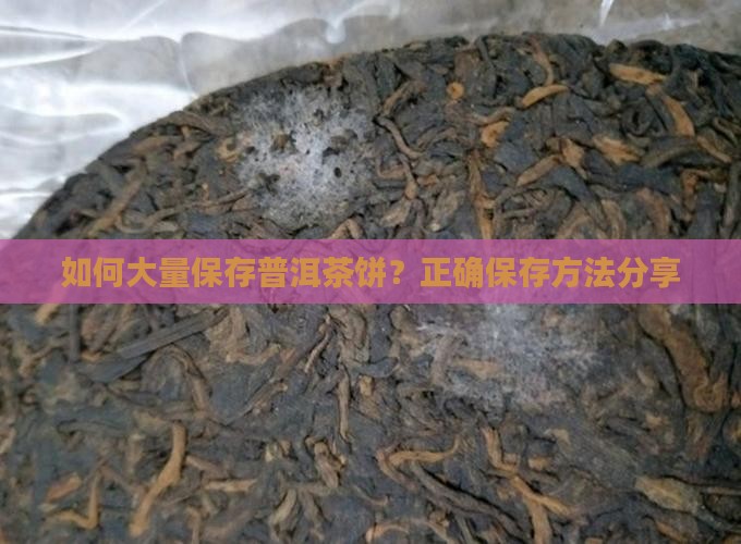 如何大量保存普洱茶饼