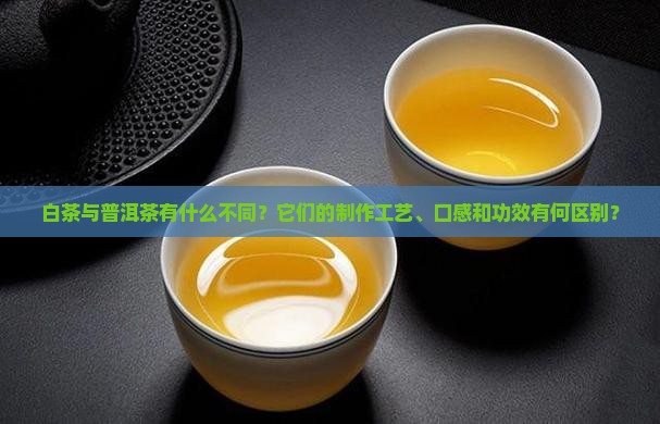 白茶与普洱茶有什么不同