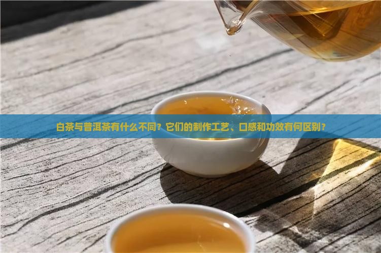 白茶与普洱茶有什么不同