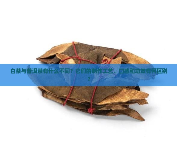 白茶与普洱茶有什么不同