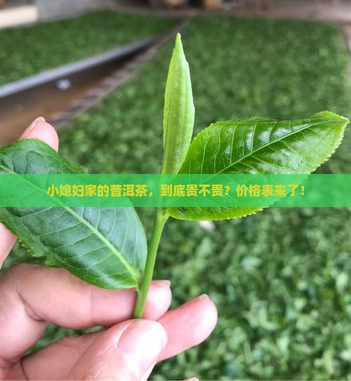 小媳妇普洱茶价格表
