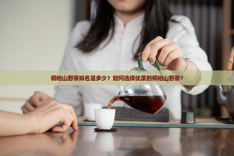 桐柏山野茶排名