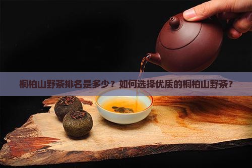 桐柏山野茶排名