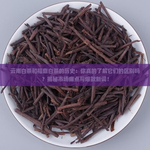 云南白茶和福鼎白茶的历史