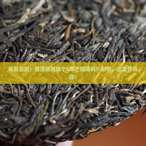 普洱茶雕能放多久