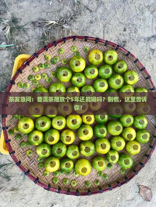 普洱茶雕能放多久