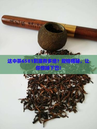中茶6581规格
