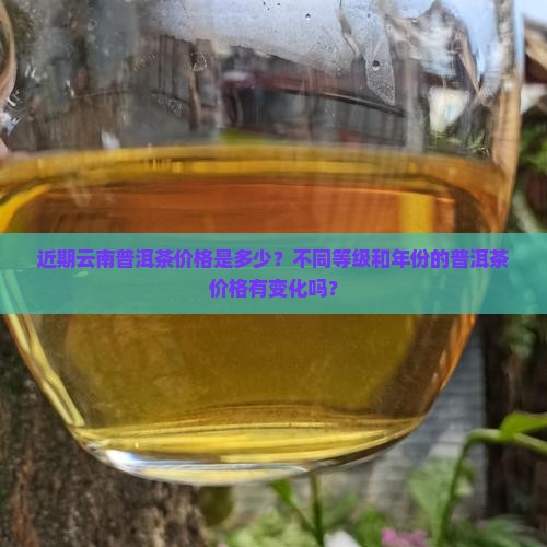 近期云南普洱茶价格表