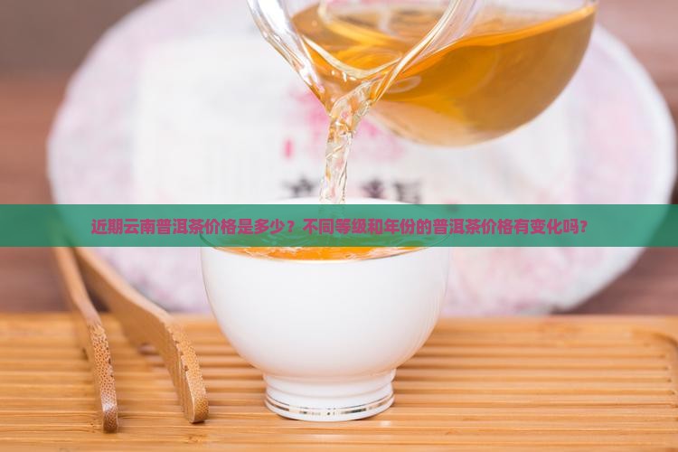 近期云南普洱茶价格表