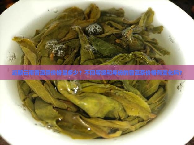 近期云南普洱茶价格表