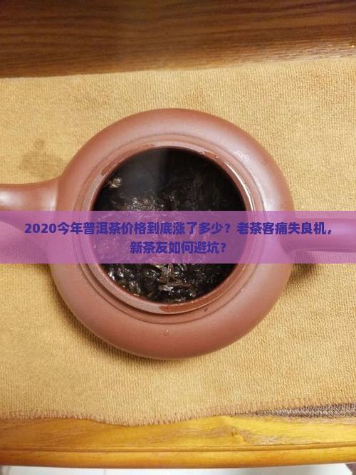2020今年普洱茶价格