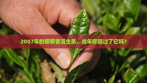 2007年黎明普洱生茶的价格