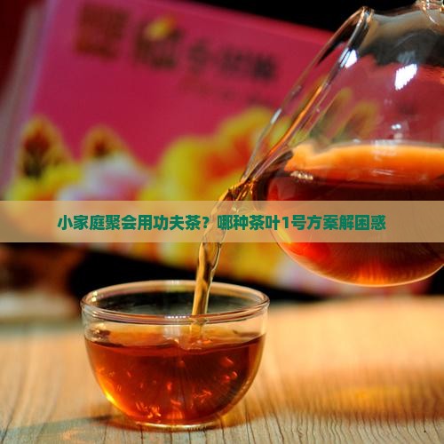 功夫茶是用的什么茶叶