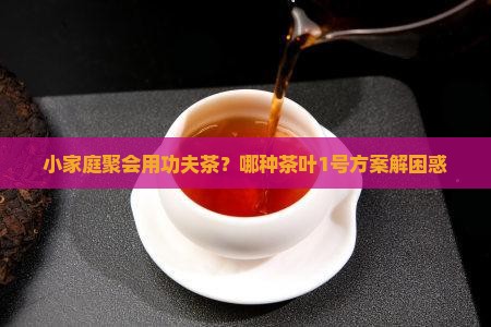 功夫茶是用的什么茶叶