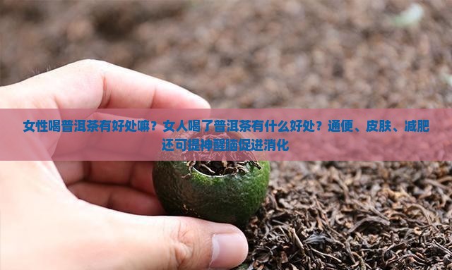 女性喝普洱茶有好处嘛 女性喝普洱茶有好处嘛