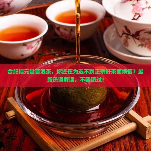 合肥福元昌普洱茶