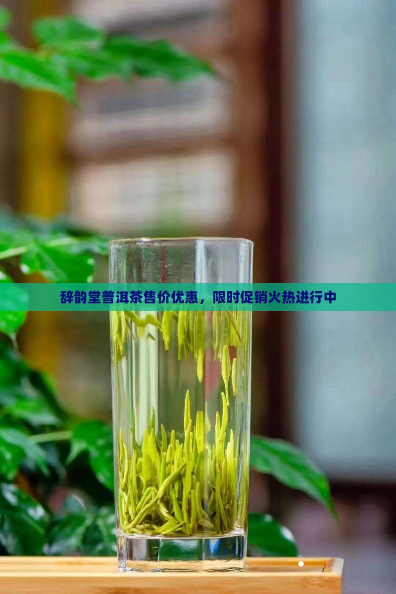 辞韵堂普洱茶售价 辞韵堂普洱茶售价