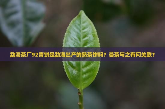 勐海茶厂92青饼勐海熟茶饼曼茶 勐海茶厂92青饼勐海熟茶饼曼茶