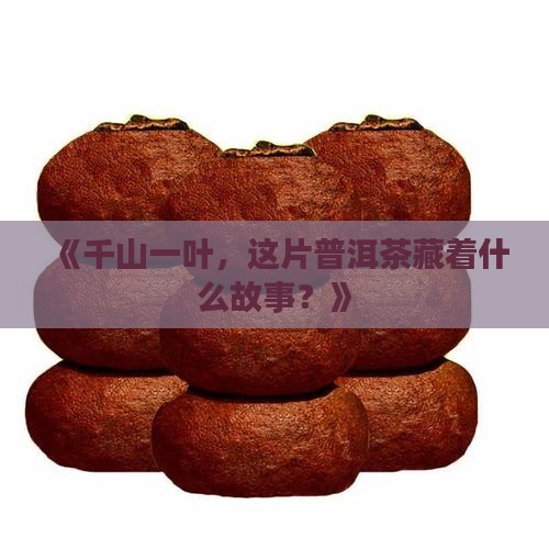 千山一叶普洱茶