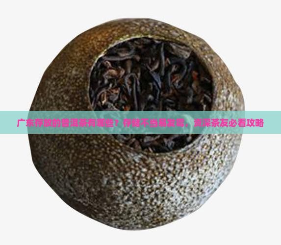广东存放的普洱茶有哪些