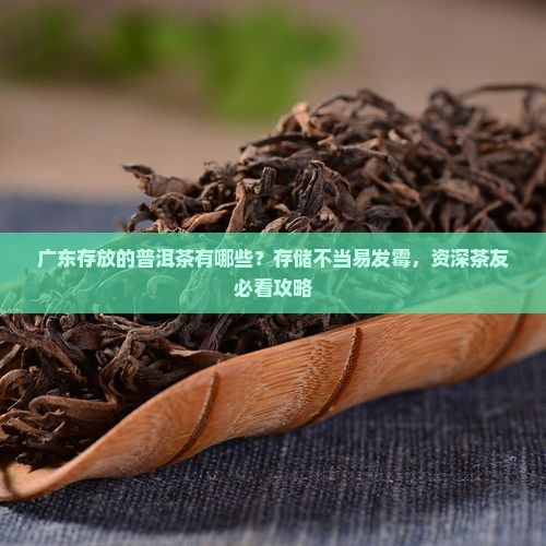 广东存放的普洱茶有哪些