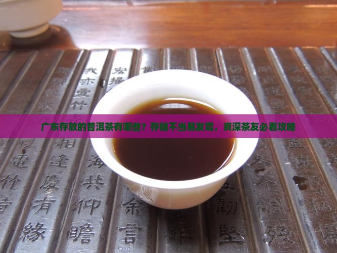 广东存放的普洱茶有哪些