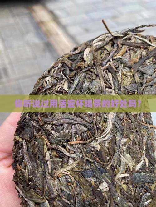 活瓷杯喝茶有什么好处