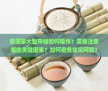 普洱茶大型存储