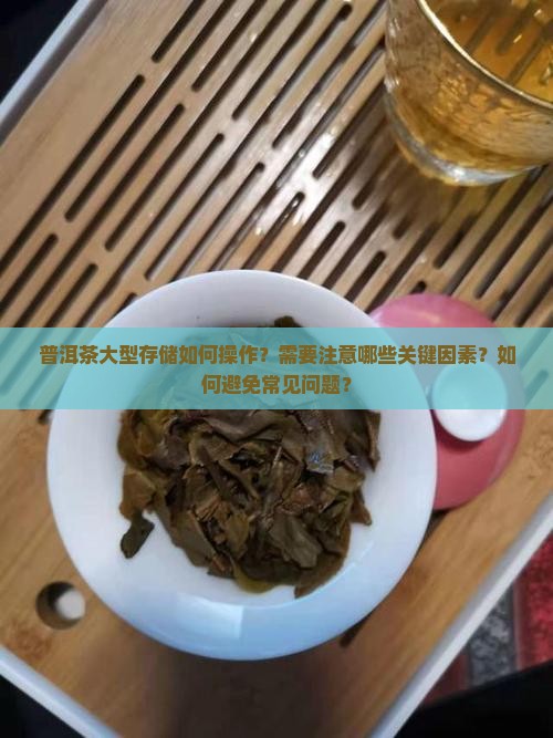 普洱茶大型存储