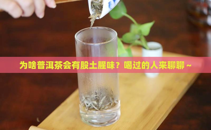 普洱茶的土腥味