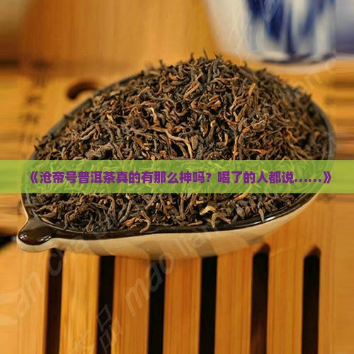沧帝号普洱茶怎么样