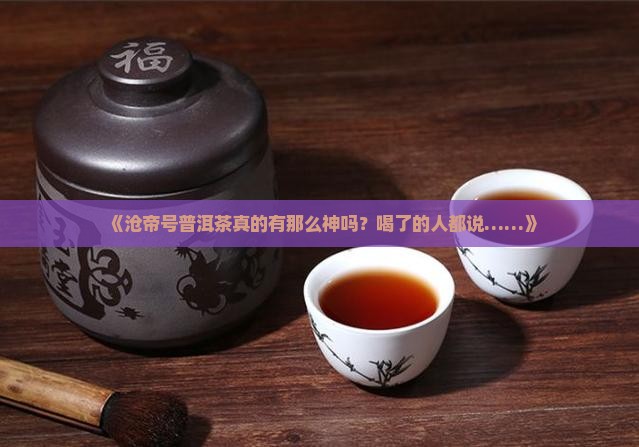 沧帝号普洱茶怎么样