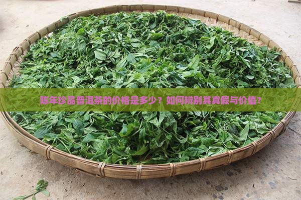 陈年珍品普洱多少钱