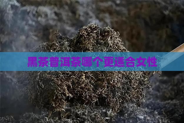 黑茶普洱茶哪个更适合女性