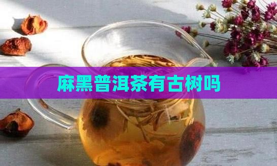 麻黑普洱茶有古树吗